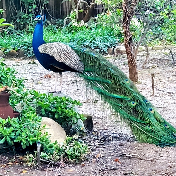 Meet your Posher, Love - Picture 3 of 8